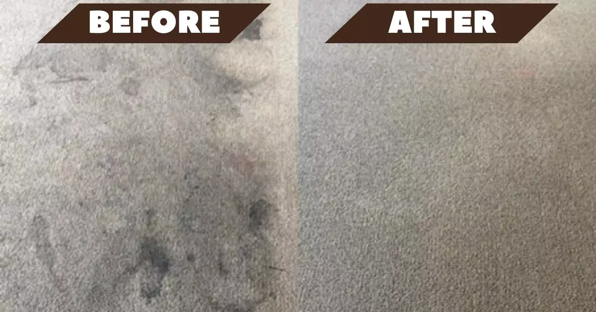 Carpet Cleaning Before